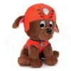 Picture of Spin Master Gund Paw Patrol: Zuma Plush Toy (15cm) (20131887)*