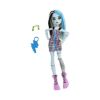 Picture of Mattel Monster High Fashion Doll - Frankie Stein (HKY76)
