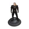 Picture of Dark Horse The Witcher (Netflix) - Transformed Geralt Statue (24cm) (3009-687)