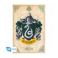 Picture of Abysse: Harry Potter - Slytherin Maxi Poster (91.5X61) (ABYDCO777)