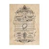 Picture of Pyramid: Harry Potter (Map And School List) Boxed Posters (52x38cm) (PPB35442)