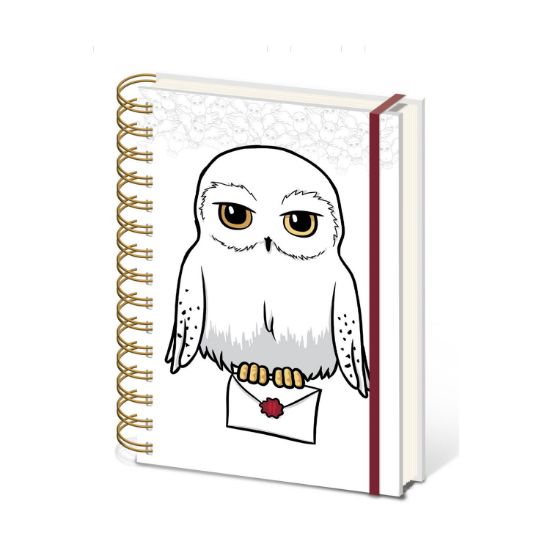 Picture of Pyramid: Harry Potter - Special Delivery A5 Wiro Notebook (SR74526)