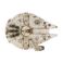Picture of Spin Master Disney: Star Wars 4D Build - Millennium Falcon 3D Cardstock Puzzle Model Kit (6069815)
