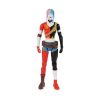 Picture of Spin Master DC Batman - Harley Quinn Action Figure (30cm) (6069101)