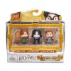 Picture of Spin Master Harry Potter: Micro Magical Moments - Remus Lupin/Severus Snape/Peter Pettigrew Figure Set (6069444)