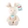 Picture of Spin Master Gund Baby: Peek A Boo  - Little Flora the Bunny (6073994)