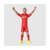 Picture of Banbo Toys: Liverpool Soccer - Virgil Van Dijk Action Figure (20cm) (83538)