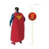 Picture of Spin Master DC Superman Movie: Superman - Action Figure 12" (6073657)
