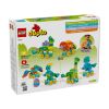 Picture of LEGO® DUPLO® Town: 3in1 Dinosaurs on Wheels (10451)