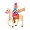 Picture of Mattel Barbie & Horse (FXH13)