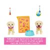 Picture of Mattel Barbie: Pup Adoption Playset (HKD86)