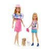 Picture of Mattel Barbie® & Stacie To The Rescue - Doll Set with 2 Pet Dogs & Accessories (HRM09)