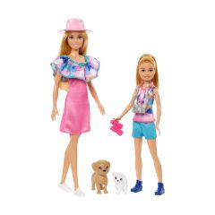 Picture of Mattel Barbie® & Stacie To The Rescue - Doll Set with 2 Pet Dogs & Accessories (HRM09)