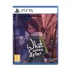 Picture of PS5 What Comes After