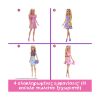 Picture of Mattel Barbie: Dream Closet - Fold & Go (HXD59)
