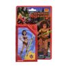 Picture of Hasbro Fans - Dungeons & Dragons Retro Collection: Diana Action Figure (15cm) (Excl.) (F4883)