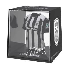 Picture of FanCollex: MyJersey - Paok Home 24/25 Zivkovic (53MY00003)