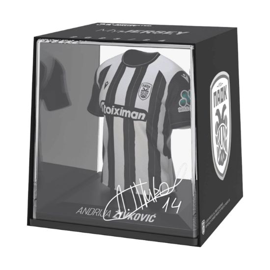 Picture of FanCollex: MyJersey - Paok Home 24/25 Zivkovic (53MY00003)