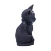 Picture of Nemesis Now Adult: Cult Cuties - Malpuss Figure (10cm)