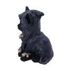 Picture of Nemesis Now Adult: Gothic - Reaper's Feline Figure (16cm)