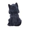 Picture of Nemesis Now Adult: Gothic - Reaper's Feline Figure (16cm)