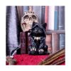 Picture of Nemesis Now Adult: Gothic - Reaper's Feline Figure (16cm)