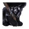 Picture of Nemesis Now Adult: Gothic - Amara Figure (10.2cm)
