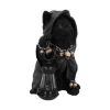 Picture of Nemesis Now Adult: Gothic - Reapers Feline Lantern Figure (18.5cm)
