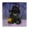 Picture of Nemesis Now Adult: Gothic - Reapers Feline Lantern Figure (18.5cm)