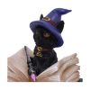Picture of Nemesis Now Adult: Gothic - Binx Figure (11cm)