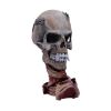 Picture of Nemesis Now: Metallica - Pushead Skull Figure(23.5cm)