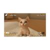 Picture of NSW Little Friends: Dogs & Cats (Code in a Box)
