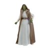 Picture of Hasbro Fans: Star Wars The Acolyte - Jedi Master Vernestra (G1548)