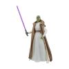 Picture of Hasbro Fans: Star Wars The Acolyte - Jedi Master Vernestra (G1548)