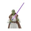 Picture of Hasbro Fans: Star Wars The Acolyte - Jedi Master Vernestra (G1548)