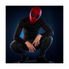 Picture of Hasbro Marvel Legend Series: Spider-Man Homecoming - Elctronic Expressive Mask (G0633)