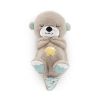 Picture of Fisher Price Rhythmic Breathing Motion - Soothe 'n Snuggle Otter (FXC66)