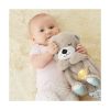 Picture of Fisher Price Rhythmic Breathing Motion - Soothe 'n Snuggle Otter (FXC66)