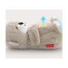 Picture of Fisher Price Rhythmic Breathing Motion - Soothe 'n Snuggle Otter (FXC66)