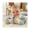 Picture of Fisher Price Rhythmic Breathing Motion - Soothe 'n Snuggle Otter (FXC66)