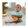 Picture of Fisher-Price Cuddle n' Snuggle Hedgehog Plush Refresh (HBP42)