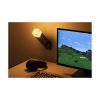 Picture of Paladone: Minecraft - Torch Light (PP9202MCFV3)