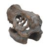 Picture of Nemesis Now: Tyrannosaurus - Rex Skull Freestanding (16cm) (D1245D5)