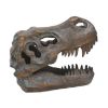 Picture of Nemesis Now: Tyrannosaurus - Rex Skull Freestanding (16cm) (D1245D5)