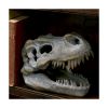 Picture of Nemesis Now: Tyrannosaurus - Rex Skull Freestanding (16cm) (D1245D5)