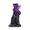 Picture of Nemesis Now: Amethyst Rune Protector (12cm) (U7069B25)